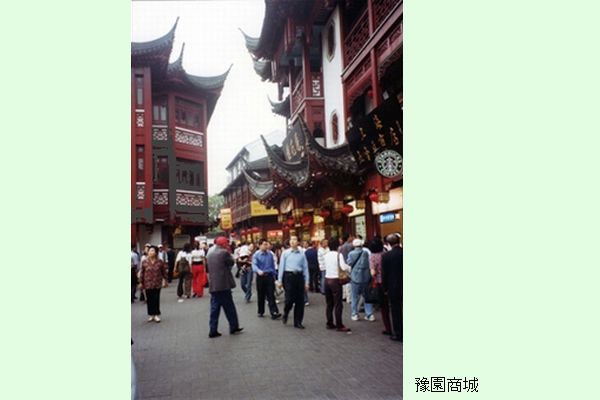 上海-01